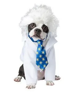 Spirit Halloween Einstein Pet Costume